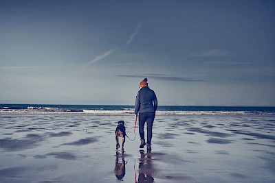 Dog Friendly Accommodation